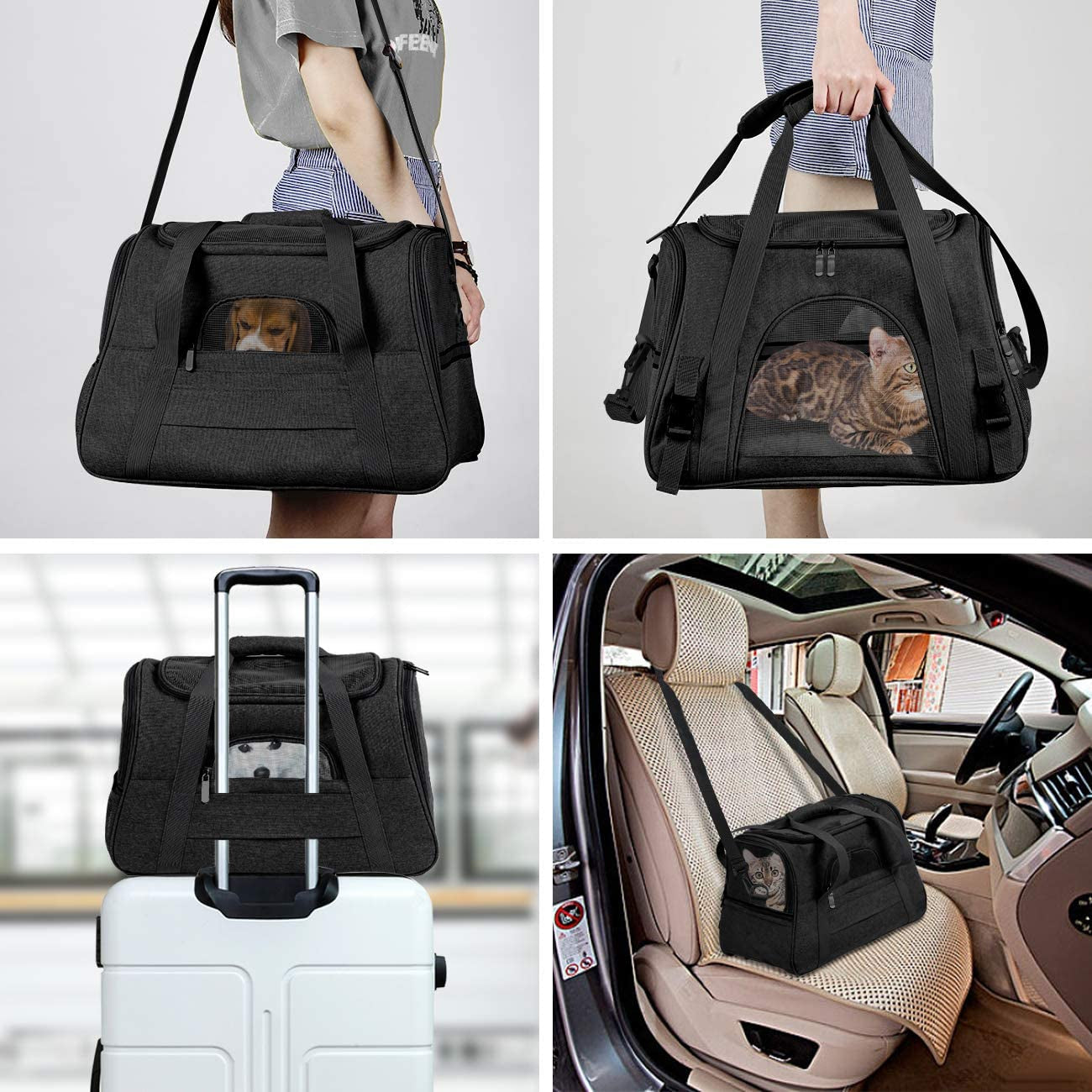 Collapsible Soft Pet Carrier for Cats & Dogs – Portable Travel Crate