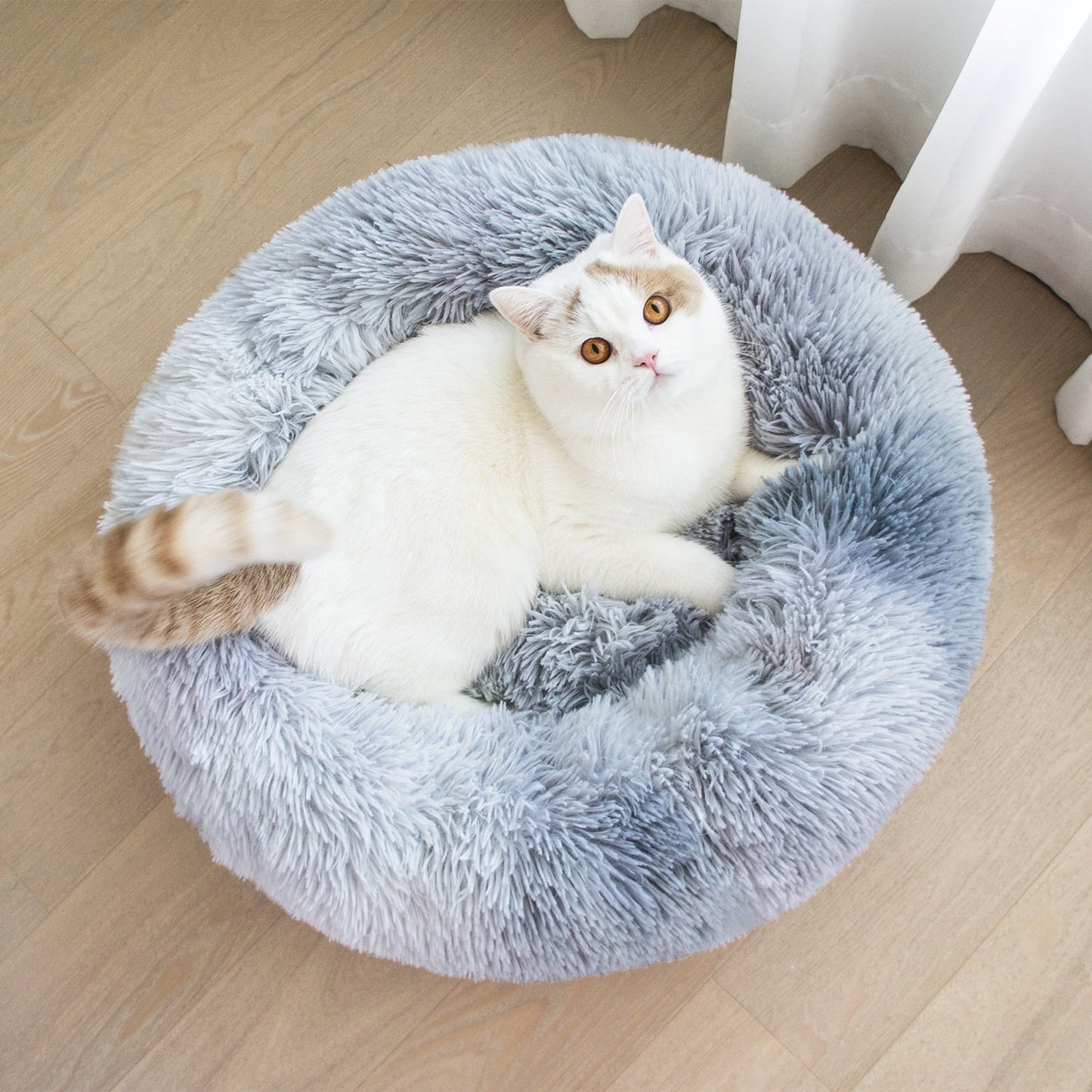 Calming Plush Donut Pet Bed – Cozy Anti-Anxiety Bed for Small Dogs & Cats