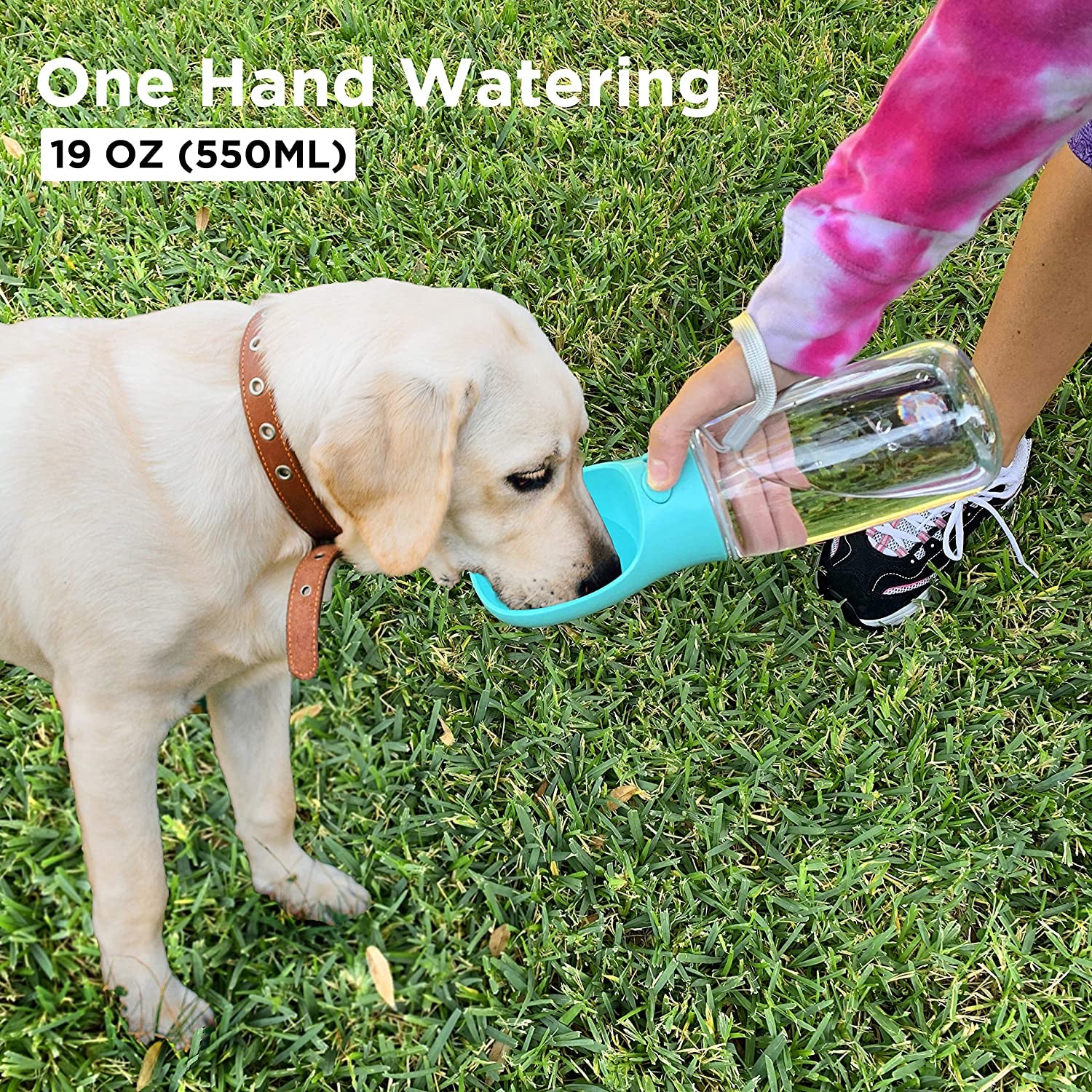 Portable Dog Water Bottle 19 oz – Leakproof Travel Water Dispenser