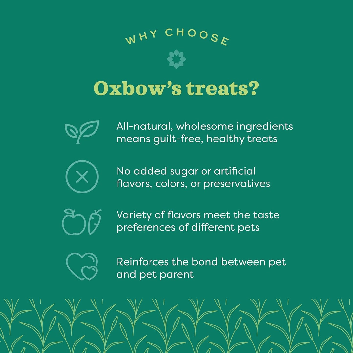 Organic Barley & Apple Treats for Small Pets – Rabbit, Guinea Pig & Hamster Snacks – 2.65 oz