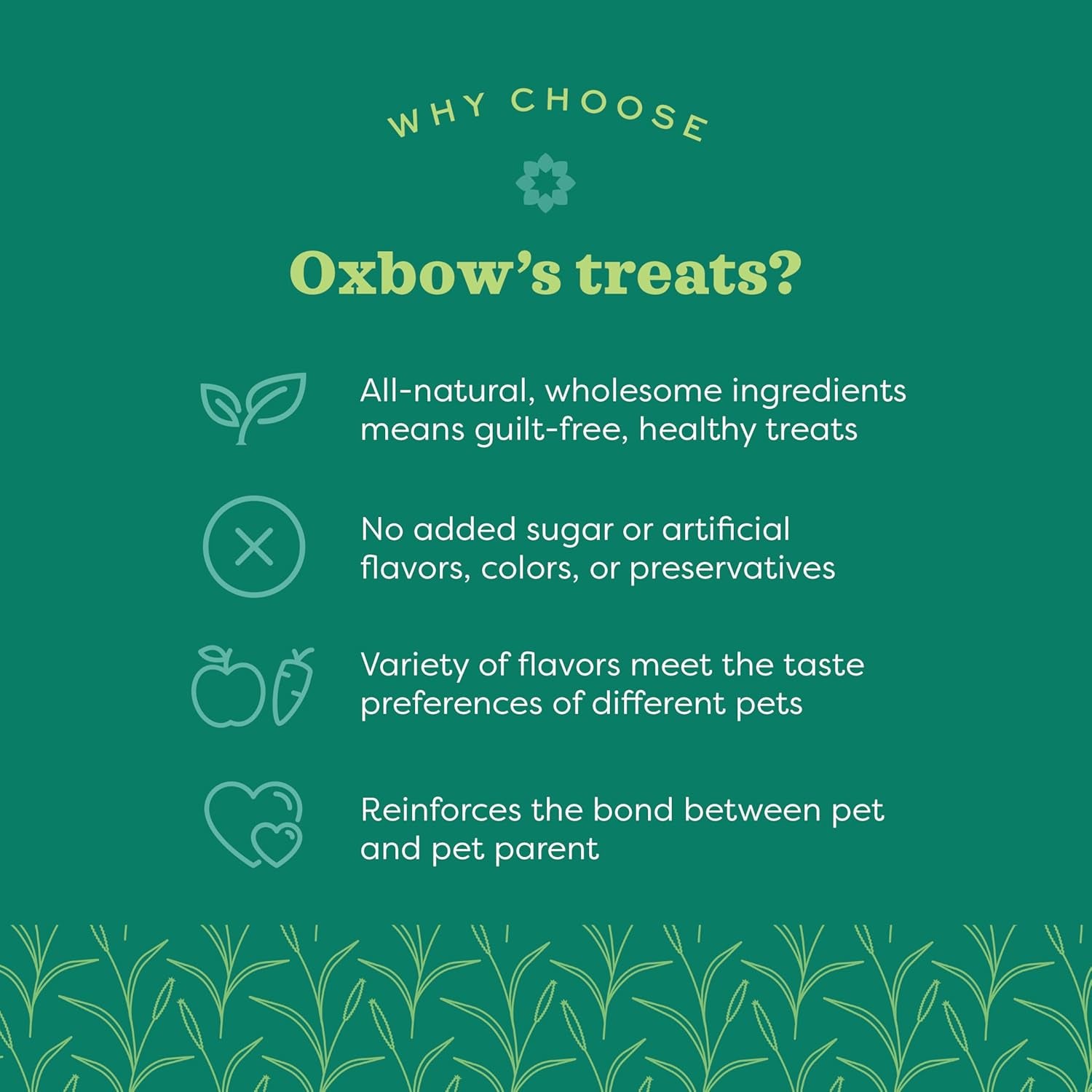 Organic Barley & Apple Treats for Small Pets – Rabbit, Guinea Pig & Hamster Snacks – 2.65 oz