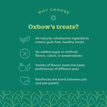 Organic Barley & Apple Treats for Small Pets – Rabbit, Guinea Pig & Hamster Snacks – 2.65 oz