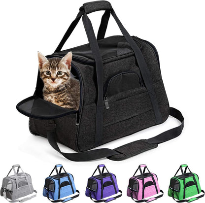 Collapsible Soft Pet Carrier for Cats & Dogs – Portable Travel Crate