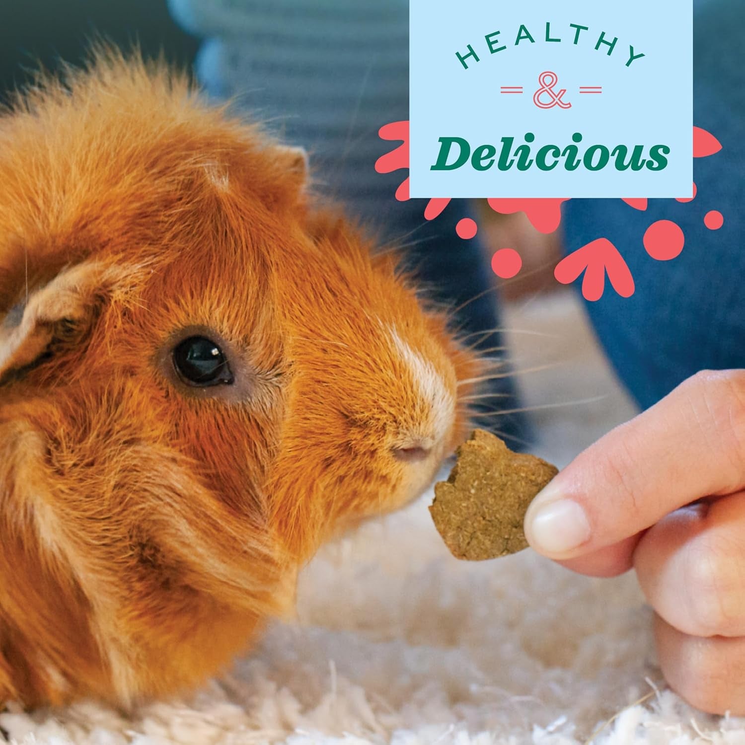 Organic Barley & Apple Treats for Small Pets – Rabbit, Guinea Pig & Hamster Snacks – 2.65 oz